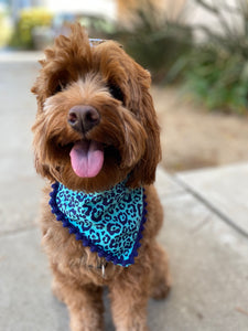 Teal Leopard Bandana