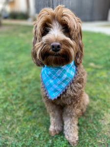 Teal + Gray Plaid Bandana