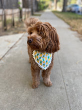 Load image into Gallery viewer, Pineapple Party Bandana