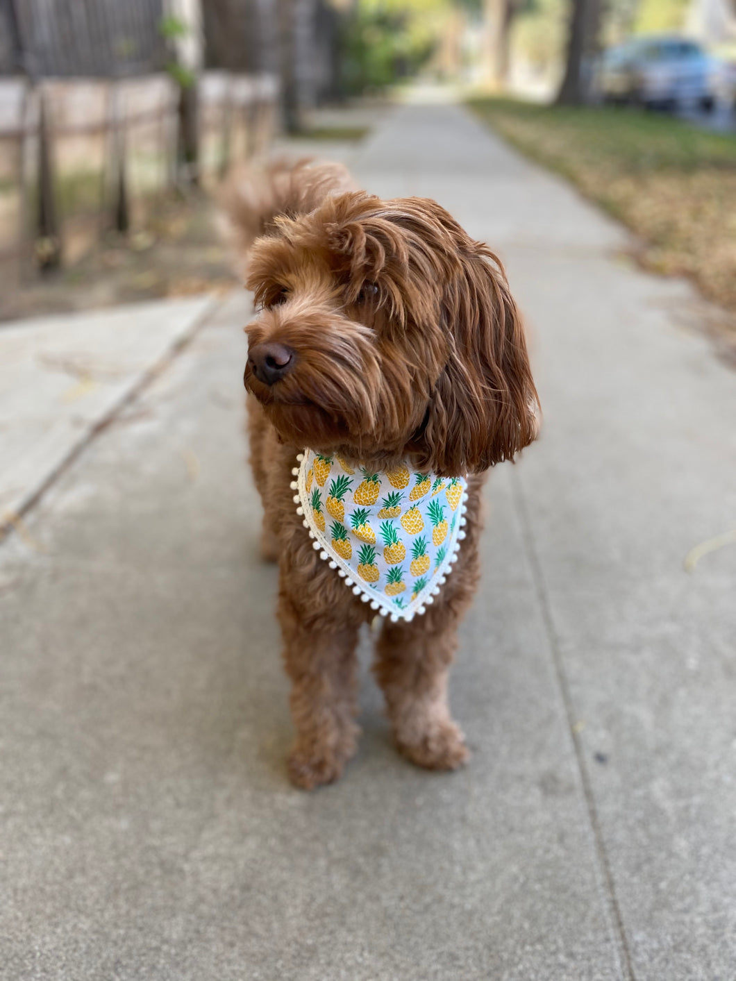 Pineapple Party Bandana