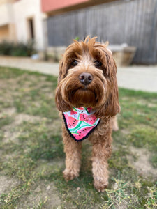 Watermelon Bandana