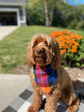 Load image into Gallery viewer, Blue &amp; Red Fall Plaid Bandana