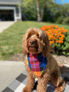 Blue & Red Fall Plaid Bandana