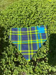 Blue and Green Fall Bandana