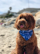 Load image into Gallery viewer, Detroit Lions Bandana