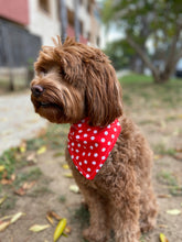 Load image into Gallery viewer, Red Polka Dot Bandana