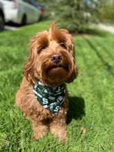 Load image into Gallery viewer, Michigan State University Bandana