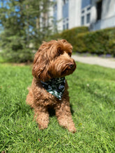 Load image into Gallery viewer, Michigan State University Bandana