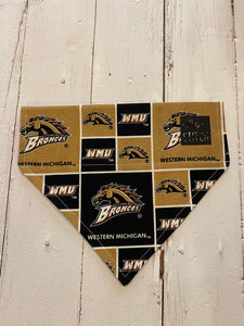 Western Michigan University Bandana