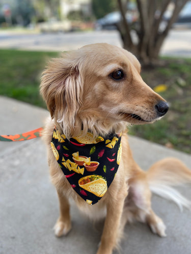 Taco Tuesday Bandana