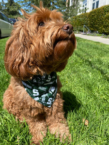 Michigan State University Bandana