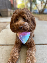 Load image into Gallery viewer, Cosmic Canine Bandana