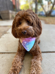 Cosmic Canine Bandana