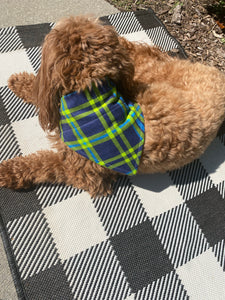 Blue and Green Fall Bandana