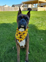 Load image into Gallery viewer, Sunflower Bandana