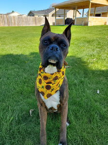 Sunflower Bandana