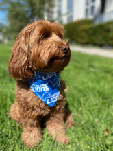 Load image into Gallery viewer, Detroit Lions Bandana