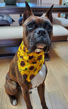 Load image into Gallery viewer, Sunflower Bandana