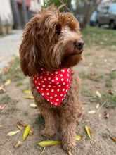 Load image into Gallery viewer, Red Polka Dot Bandana