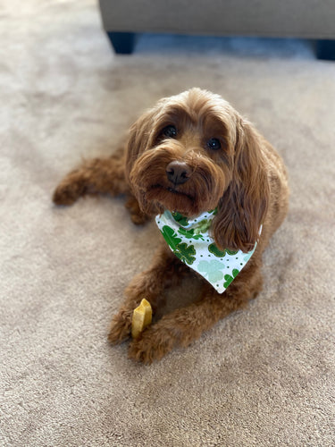 White LA Lakers Bandana – Lulu + Stitch Boutique