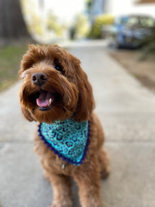 Teal Leopard Bandana