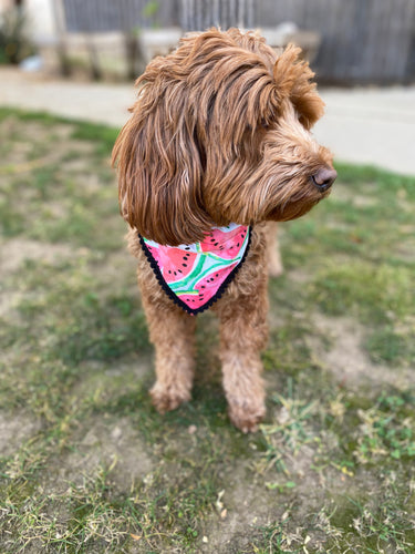 Watermelon Bandana